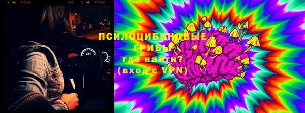 эйфоретик Алексеевка
