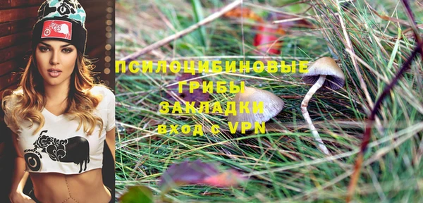 круглые Алзамай