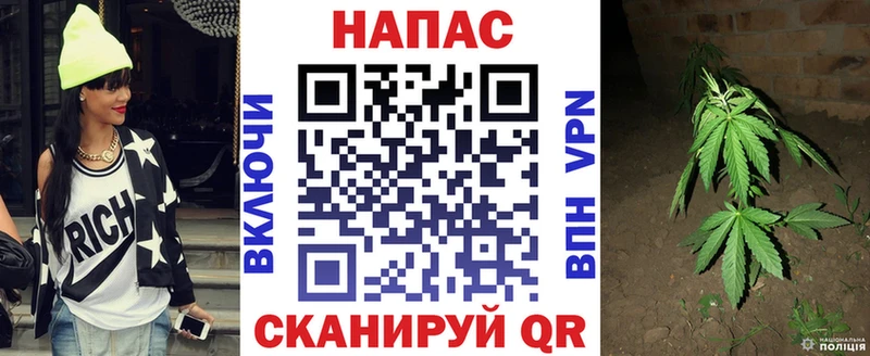 МАРИХУАНА сатива  Кулебаки 